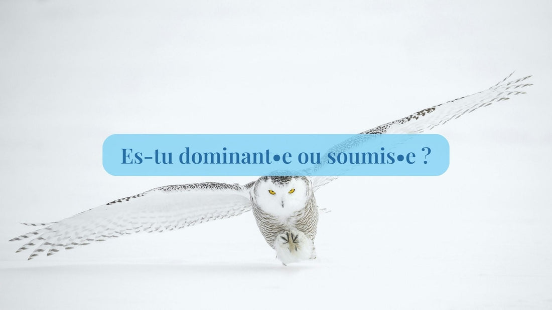 Test de dominant ou dominé - Quinqo